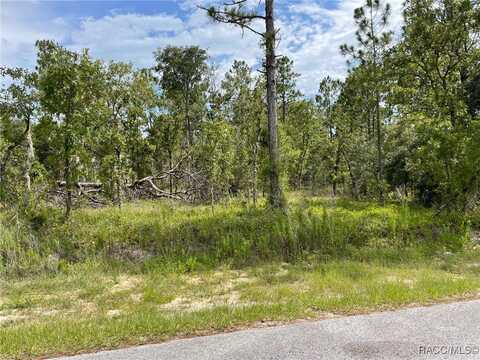 NW Geranium Avenue lot: 18, Dunnellon, FL 34431