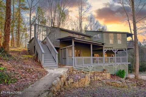 925/915 Newcombe Branch Way, Cosby, TN 37722