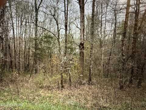 Grace Hill Drive, Crossville, TN 38571