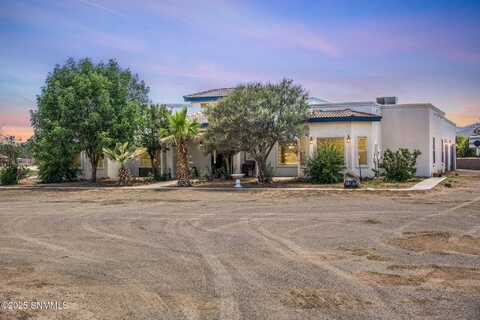 6465 Shorty Pl Place, Las Cruces, NM 88007