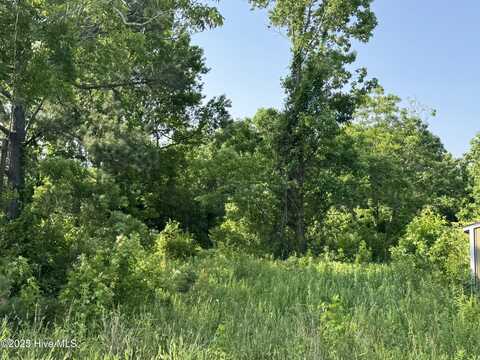 E Council Road, Robersonville, NC 27871