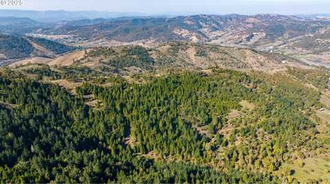 0 BUCKHORN RD, Roseburg, OR 97470