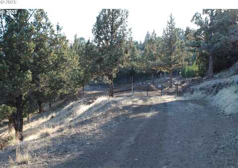 0 Cougar Ridge Road, Canyon City, OR 97820