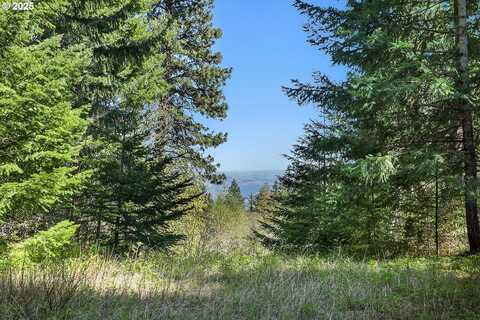 101 COOKE RD, White Salmon, WA 98672