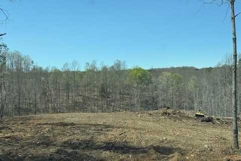 0 FESCUE CIR, Huddleston, VA 24104