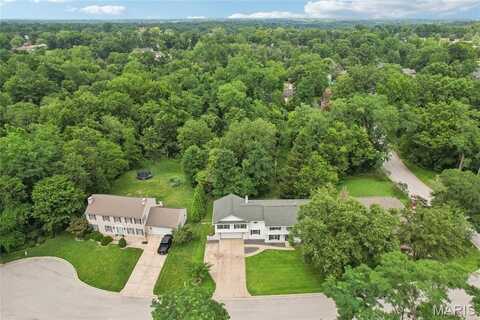 1702 Blu Fountain Court, Godfrey, IL 62035