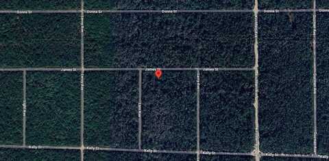 0 James Street, Hastings, FL 32145