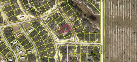 116 Summer Oak Drive, Lake Placid, FL 33852