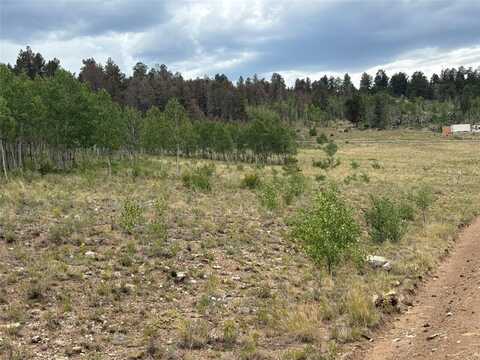1625 ATHAPASCAN ROAD, Hartsel, CO 80449