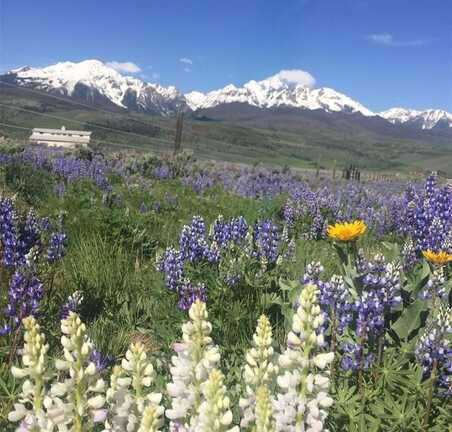 1703 ELK RUN ROAD, Silverthorne, CO 80498