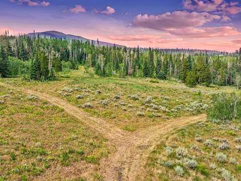 TBD SPRING CREEK RANCH RD, Silverthorne, CO 80498