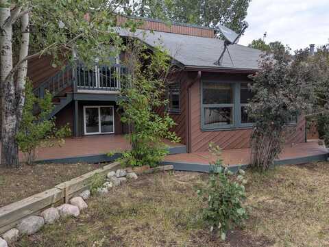 448 WILLOWBROOK ROAD, Silverthorne, CO 80498