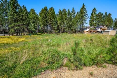219 BALD EAGLE Dr, Newport, WA 99156