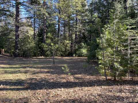 Emigrant Trail, Shingletown, CA 96088