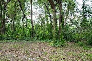 8641 HIGH STREET, YALAHA, FL 34797
