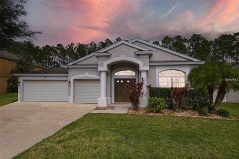 7346 CRESCENT PALM DRIVE, WESLEY CHAPEL, FL 33545