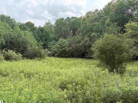 11546 E 3 1/2 Road, Luther, MI 49656