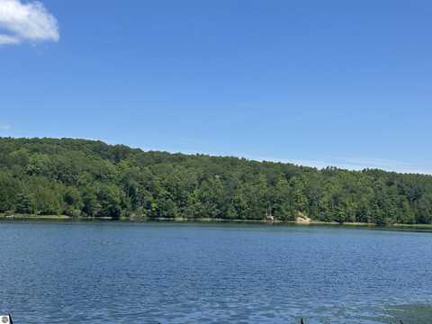 11531 S Tower, Maple City, MI 49664