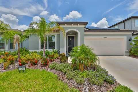 2948 FOREST MEADOW AVENUE, VALRICO, FL 33594