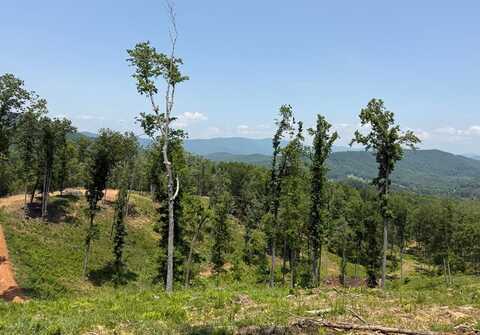 293 South Carter Cove Road, HAYESVILLE, NC 28904