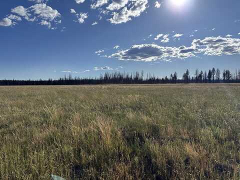 White Birch Way, Bly, OR 97622