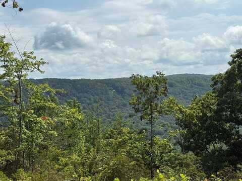 855 Eastridge Pass, MONTEREY, TN 38574