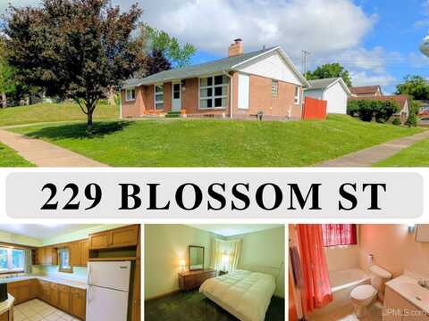 229 Blossom, Iron River, MI 49935