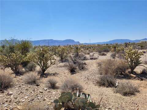 870 W Calico Drive unit: 4/Lot1556, Meadview, AZ 86444