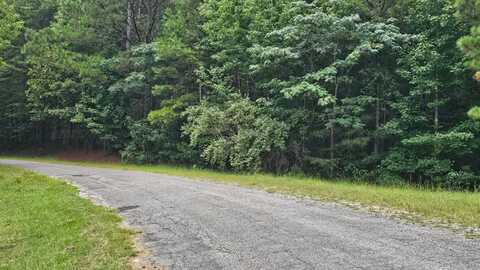 000 BUSBY CHURCH ROAD, Nauvoo, AL 35578