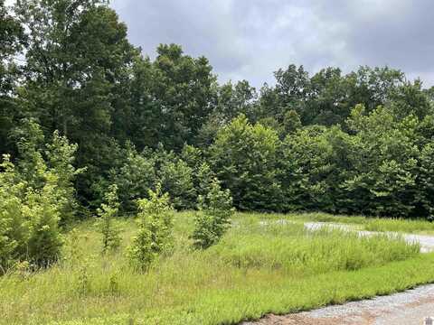 Lot 24 Osprey Landing II, Cadiz, KY 42211