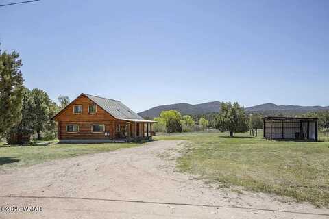 199 S Poverty Gulch, Young, AZ 85554