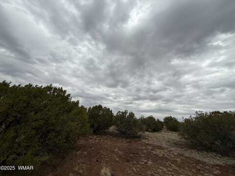 149 County Rd 8057, Concho, AZ 85924