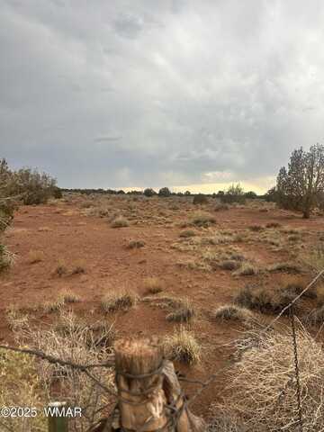 8341 Justin Lane, Snowflake, AZ 85937