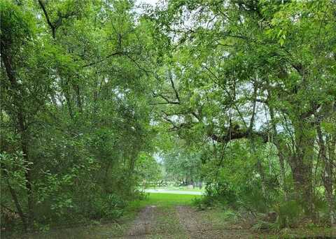 9001 TREIMAN BOULEVARD, WEBSTER, FL 33597