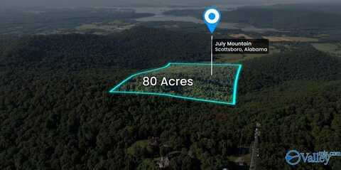 80 Acres Bella Vista Drive, Scottsboro, AL 35768