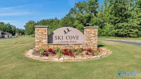 50 Pruett Circle, Scottsboro, AL 35769