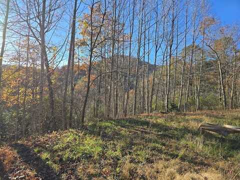 4730 LAUREL MOUNTAIN RD, Hiawassee, GA 30546