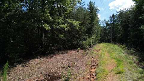 Flagpole Circle, Ellijay, GA 30540