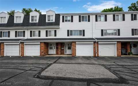 2005 Presidential Parkway unit: 81, Twinsburg, OH 44087