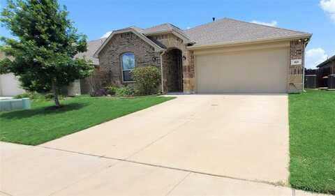 421 Brook View Court, Anna, TX 75409