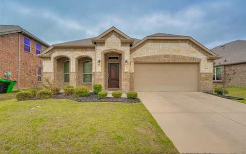16505 Amistad Avenue, Prosper, TX 75078