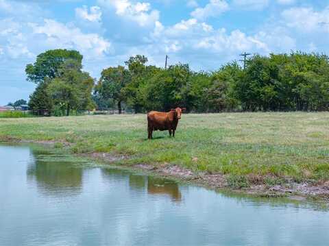 Tbd Vz County Road 2120, Canton, TX 75103