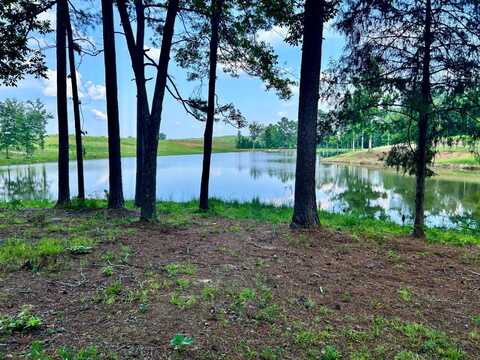 0 Pine Grove Road, Carrollton, AL 35447
