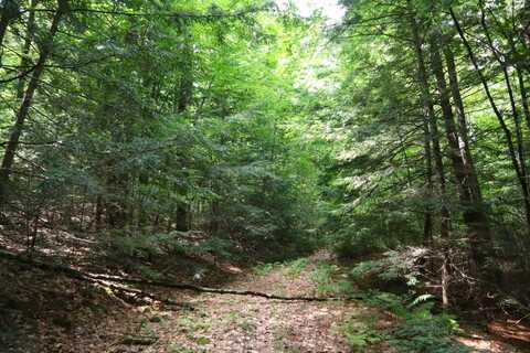0 Valley Rd, Thurman, NY 12885