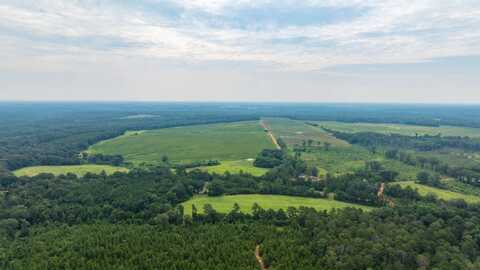 0 Cattle Gap Road, Cuthbert, GA 39840
