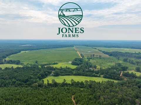 0 Cattle Gap Road, Cuthbert, GA 39840