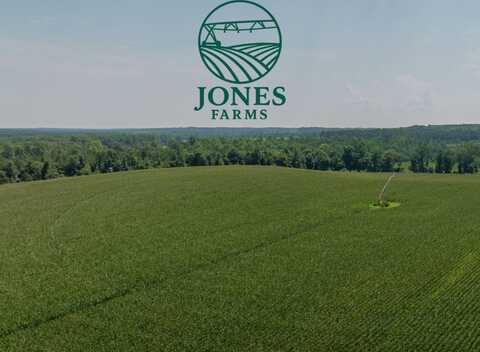0 Bishop Johnson Circle Road, Plains, GA 31780