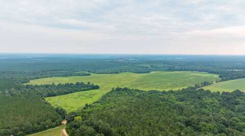 0 County Road 90, Lumpkin, GA 31815
