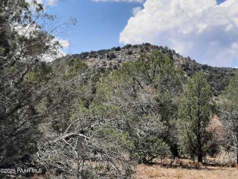 342 Dragons Nest Rd, Seligman, AZ 86337