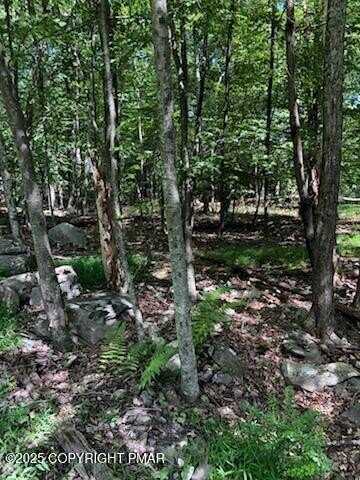 8 Delilah Rd 8 Road, East Stroudsburg, PA 18302